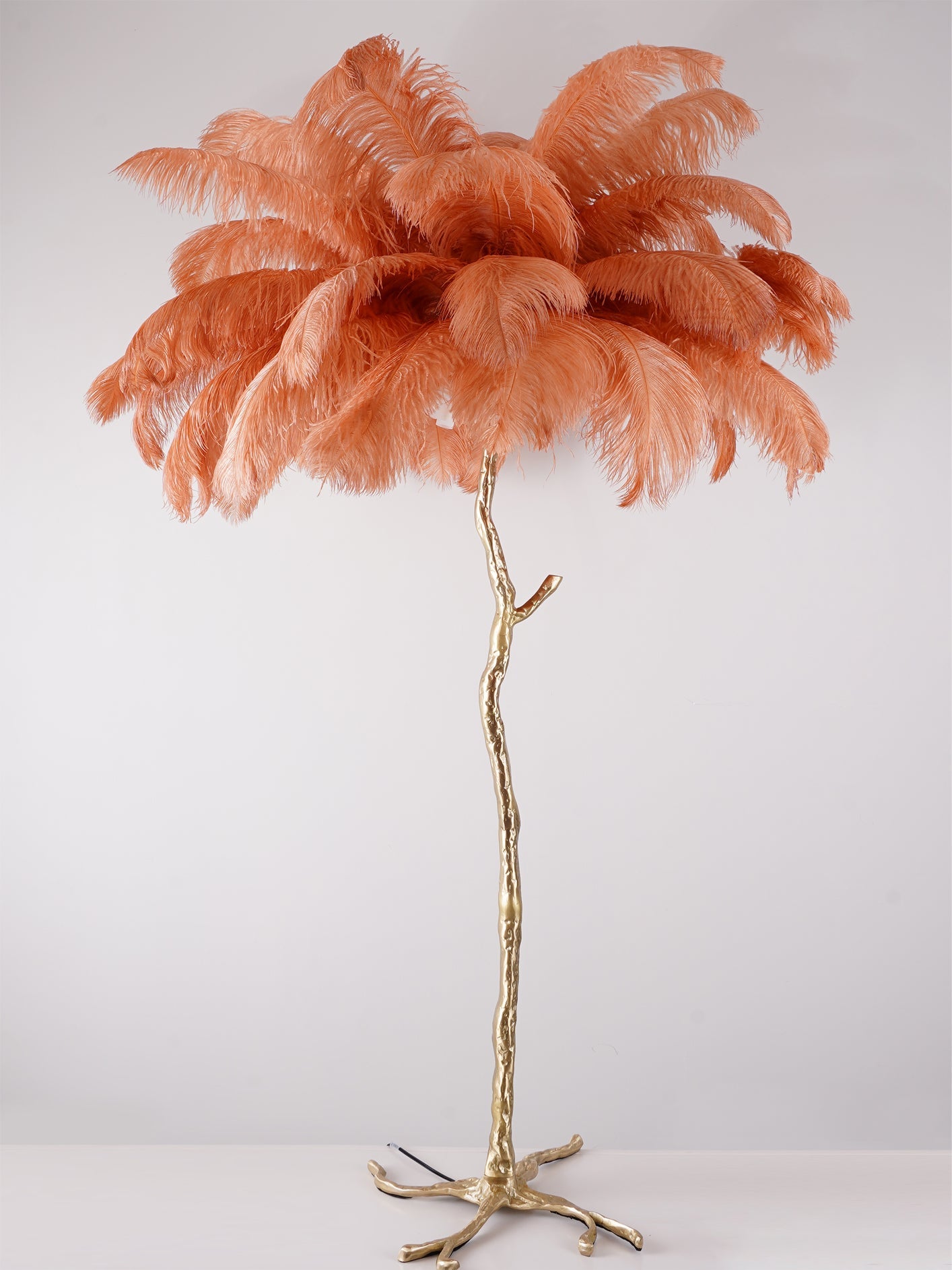 Ostrich Feather Brass Floor Lamp - Blowlighting