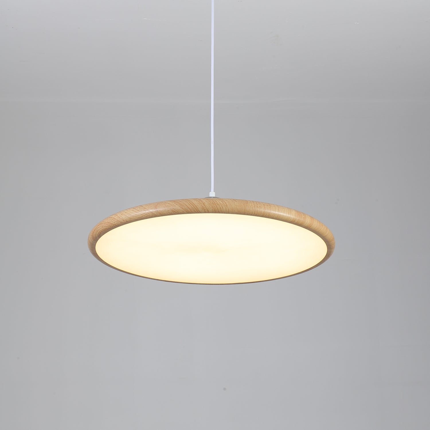 Chole Minimalist Metal Pendant Light - Blowlighting