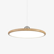 Chole Minimalist Metal Pendant Light - Blowlighting