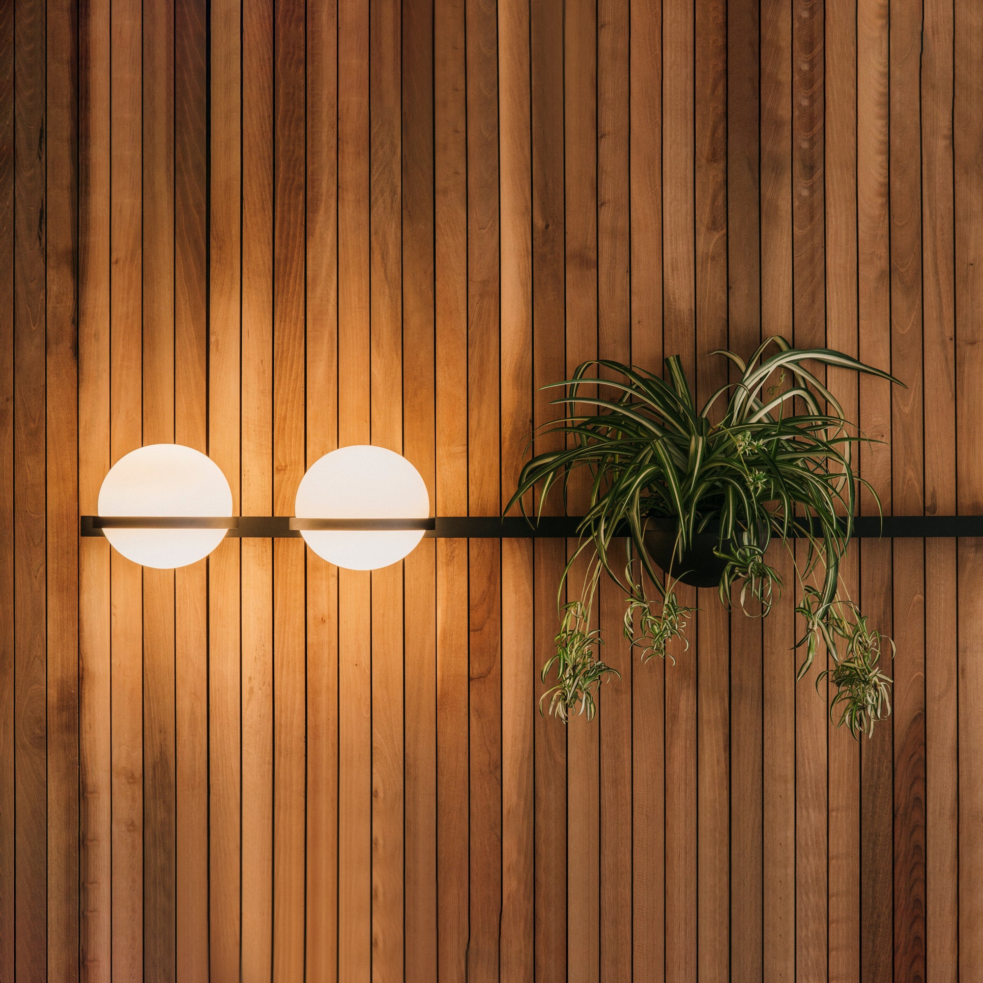 Solstice Wall Light - Blowlighting