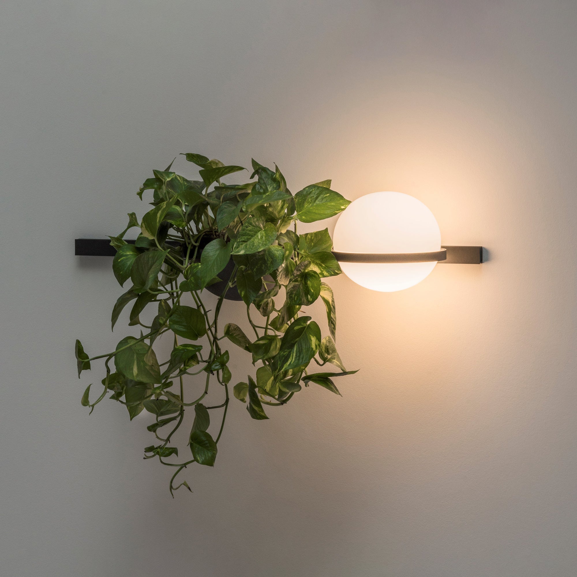 Solstice Wall Light - Blowlighting