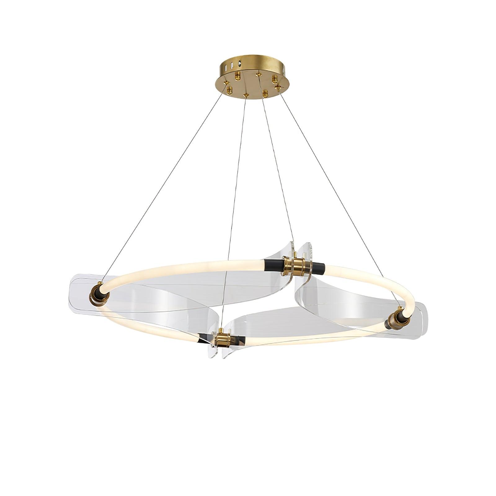 Paulmann LED Pendant Light - Blowlighting