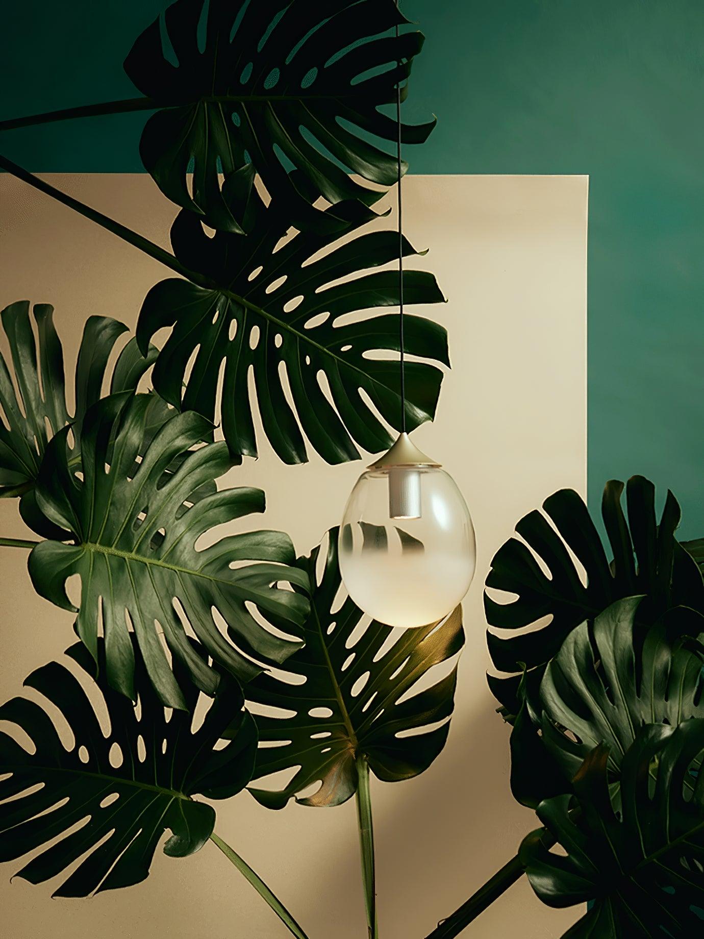 Petra Pendant Light - Blowlighting