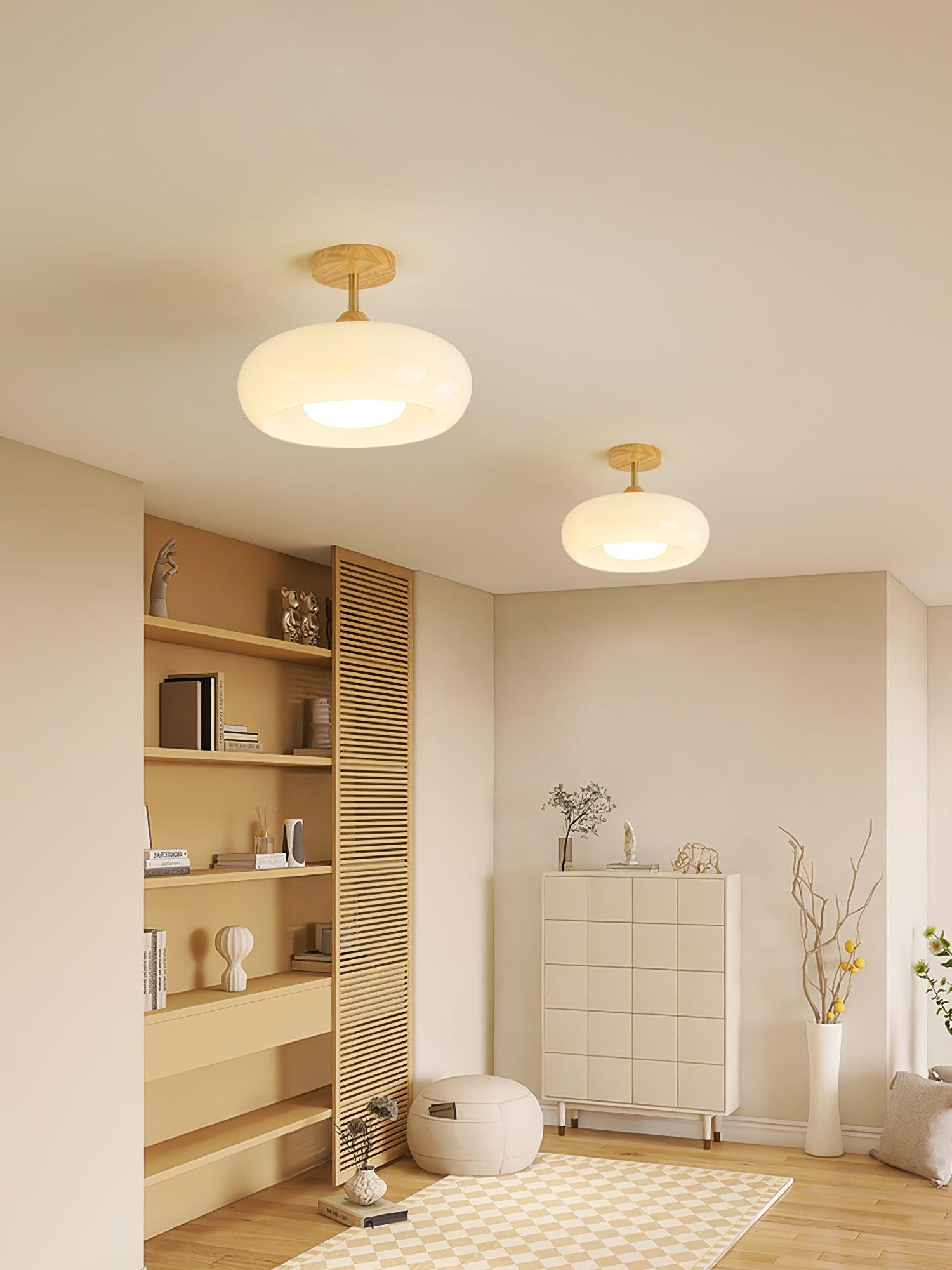 Plafonnier Ceiling Lamp - Blowlighting