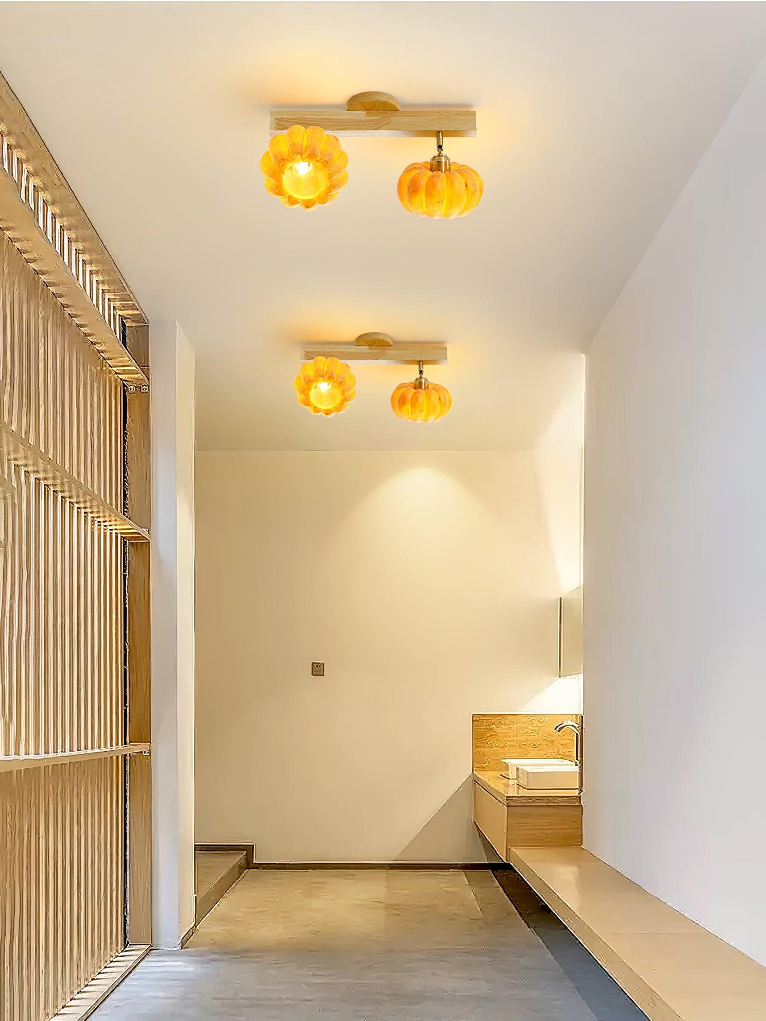 Dylan Modern Metal Ceiling Lamp - Blowlighting