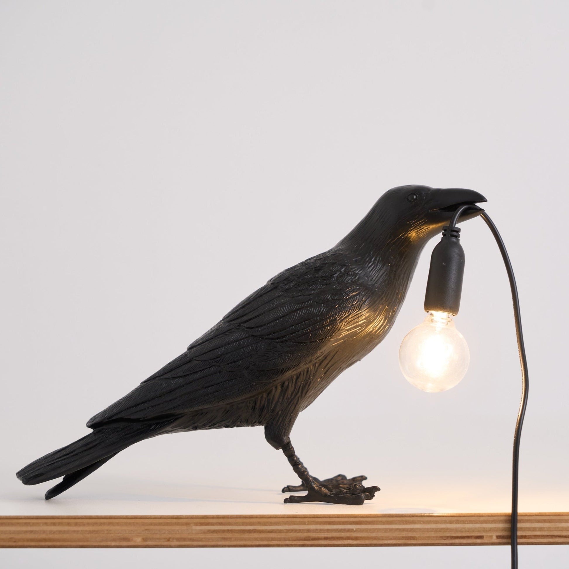 Raven Resin Table Lamp - Blowlighting