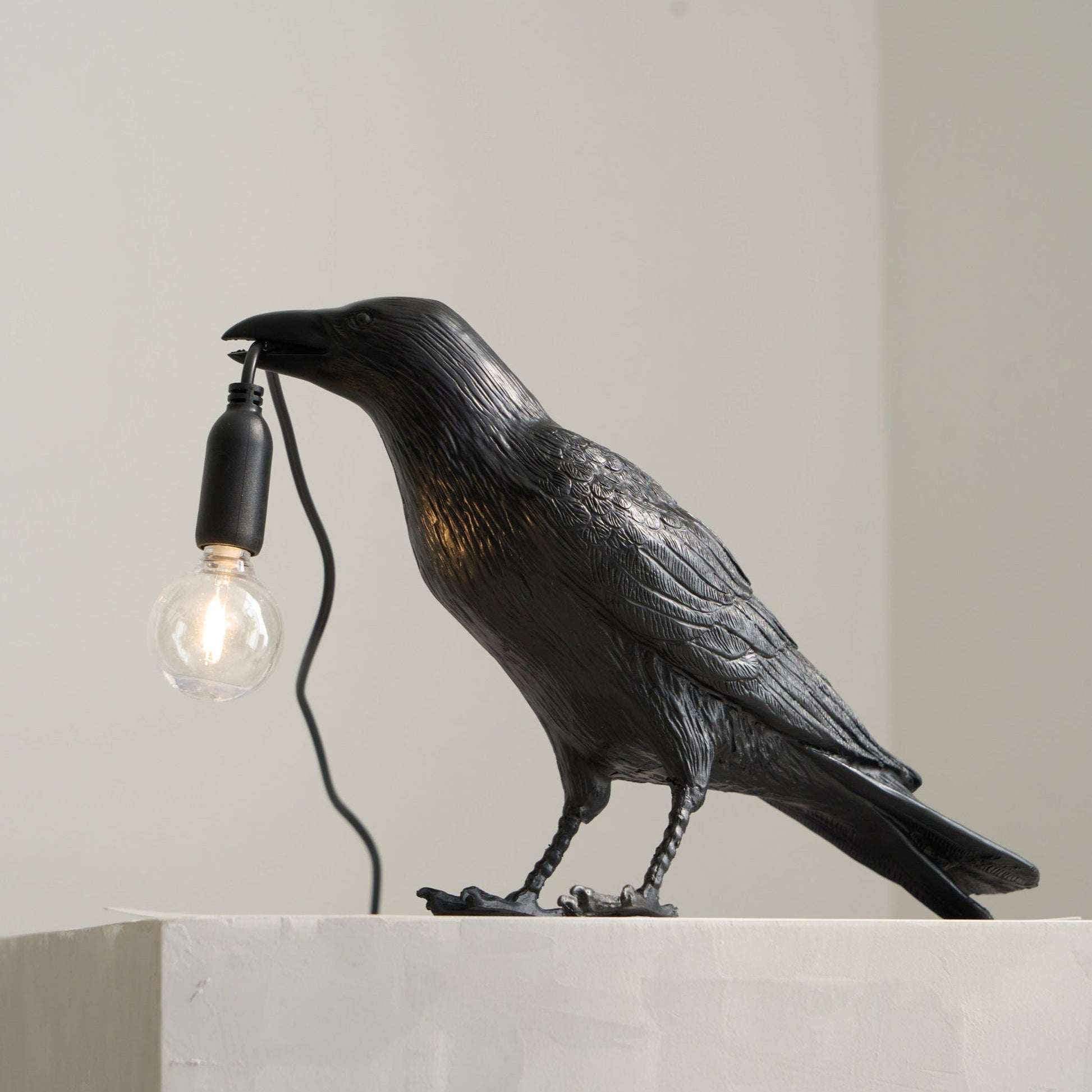 Raven Resin Table Lamp - Blowlighting