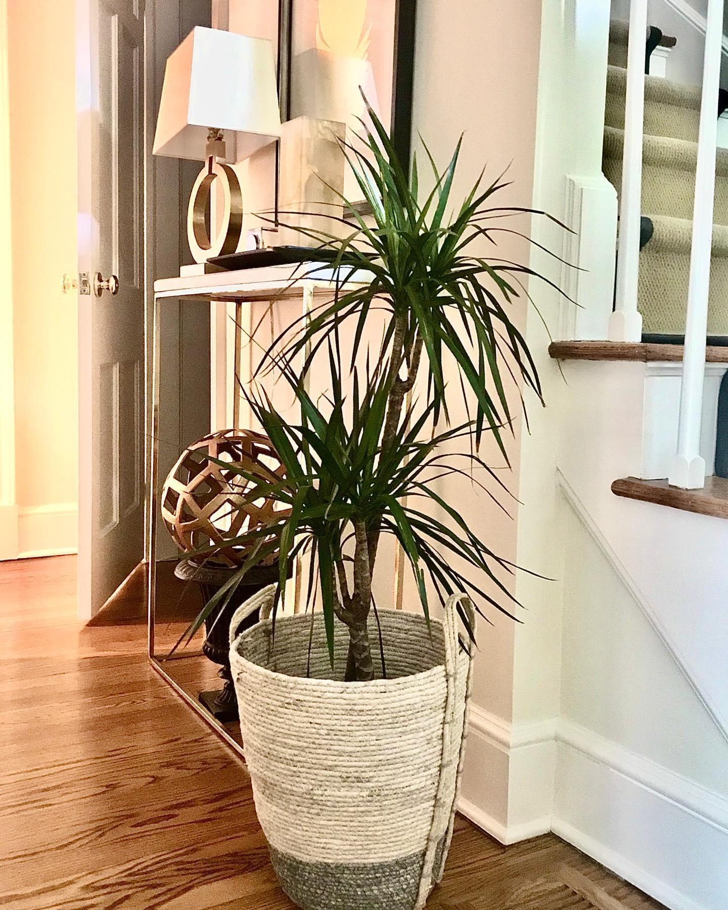 Ring Form Table Lamp - Blowlighting