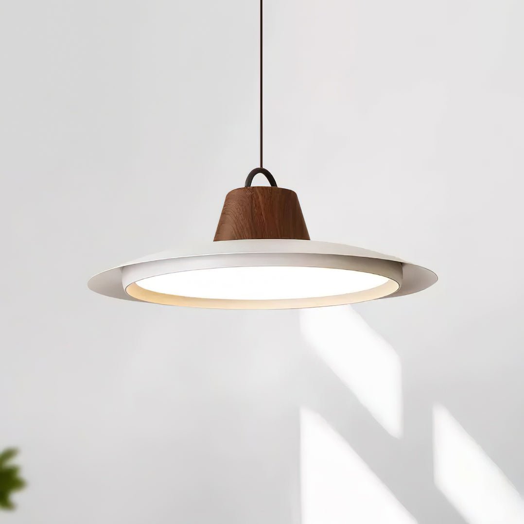 Ruile Pendant Lamp - Blowlighting