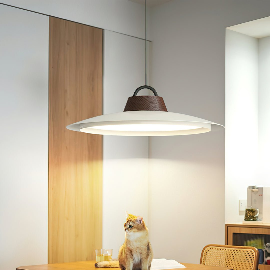 Ruile Pendant Lamp - Blowlighting