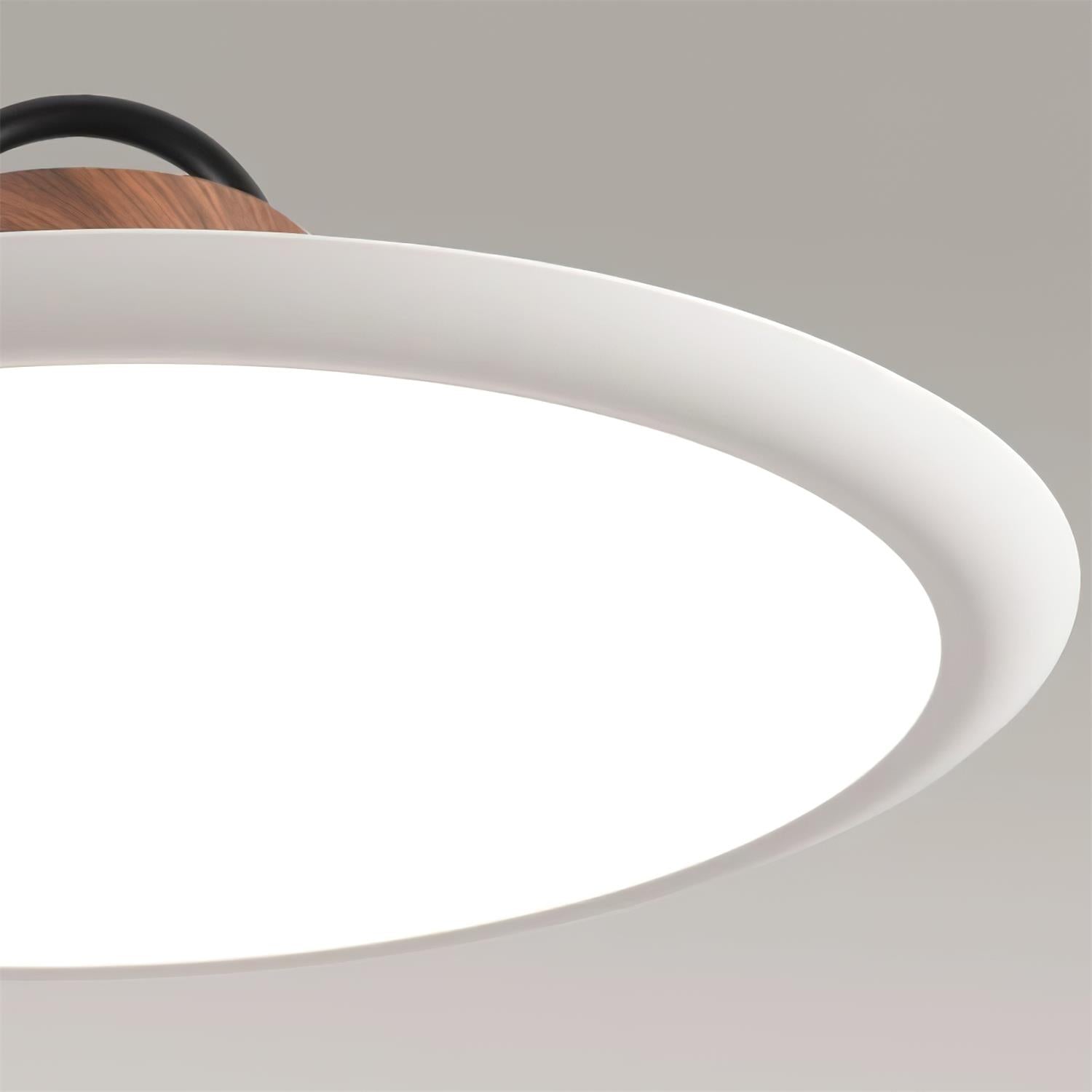 Ruile Pendant Lamp - Blowlighting