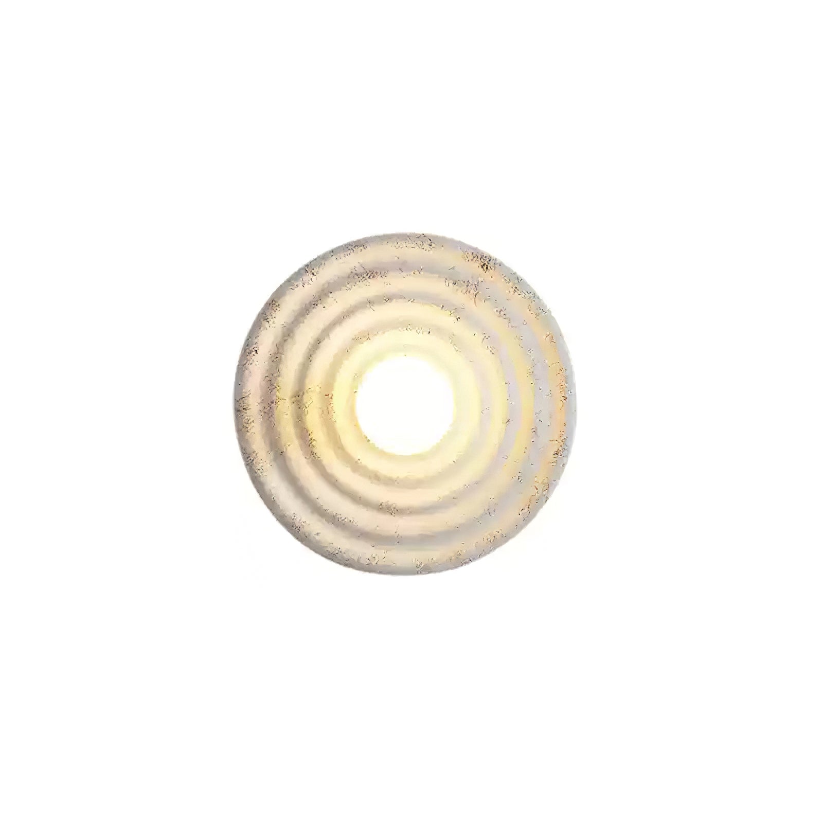 Seashell Resin Wall Lamp - Blowlighting