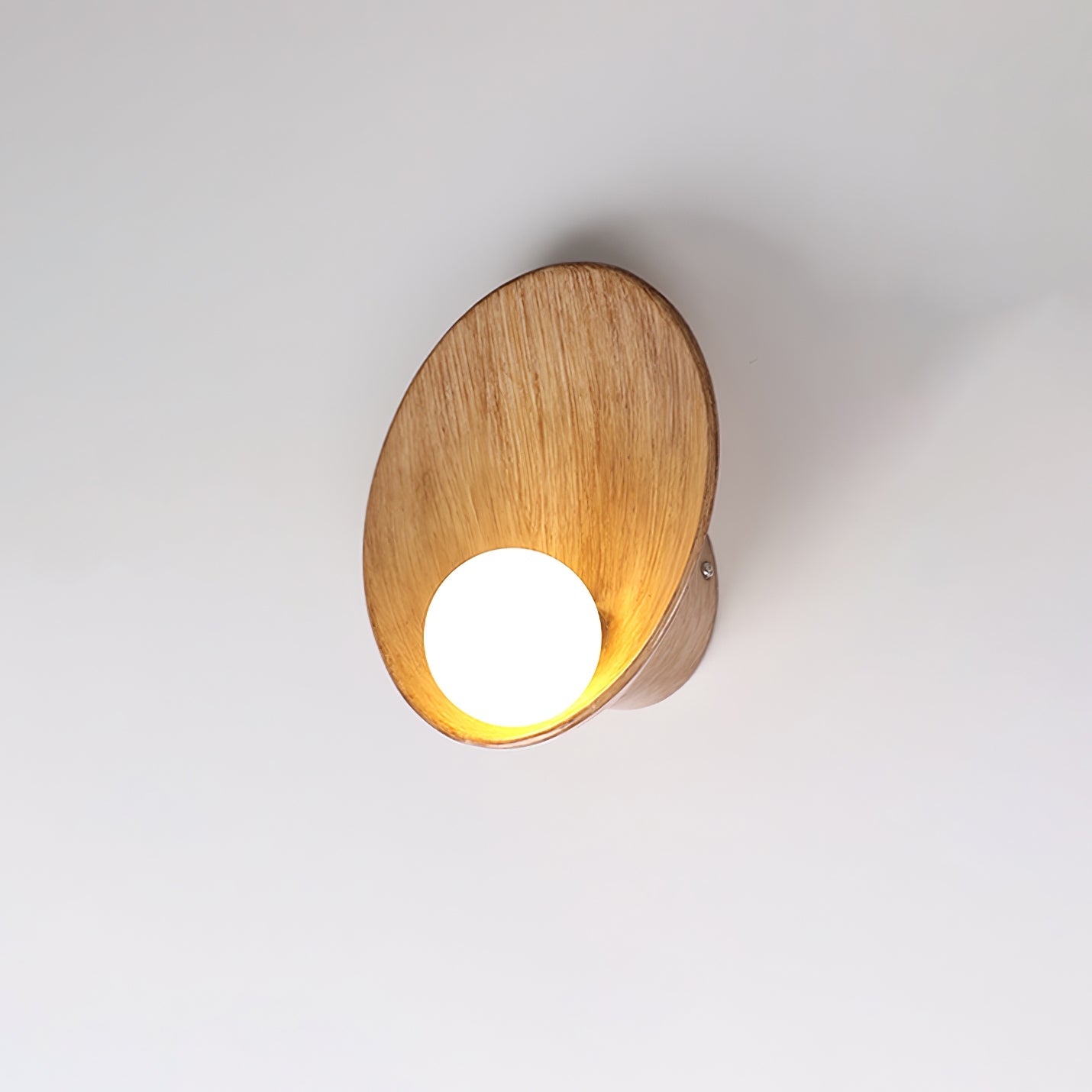 Seashell Resin Wall Lamp - Blowlighting