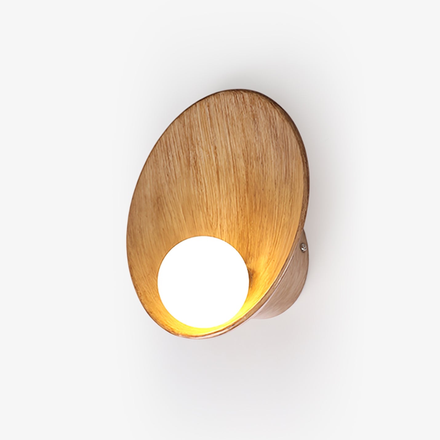 Seashell Resin Wall Lamp - Blowlighting