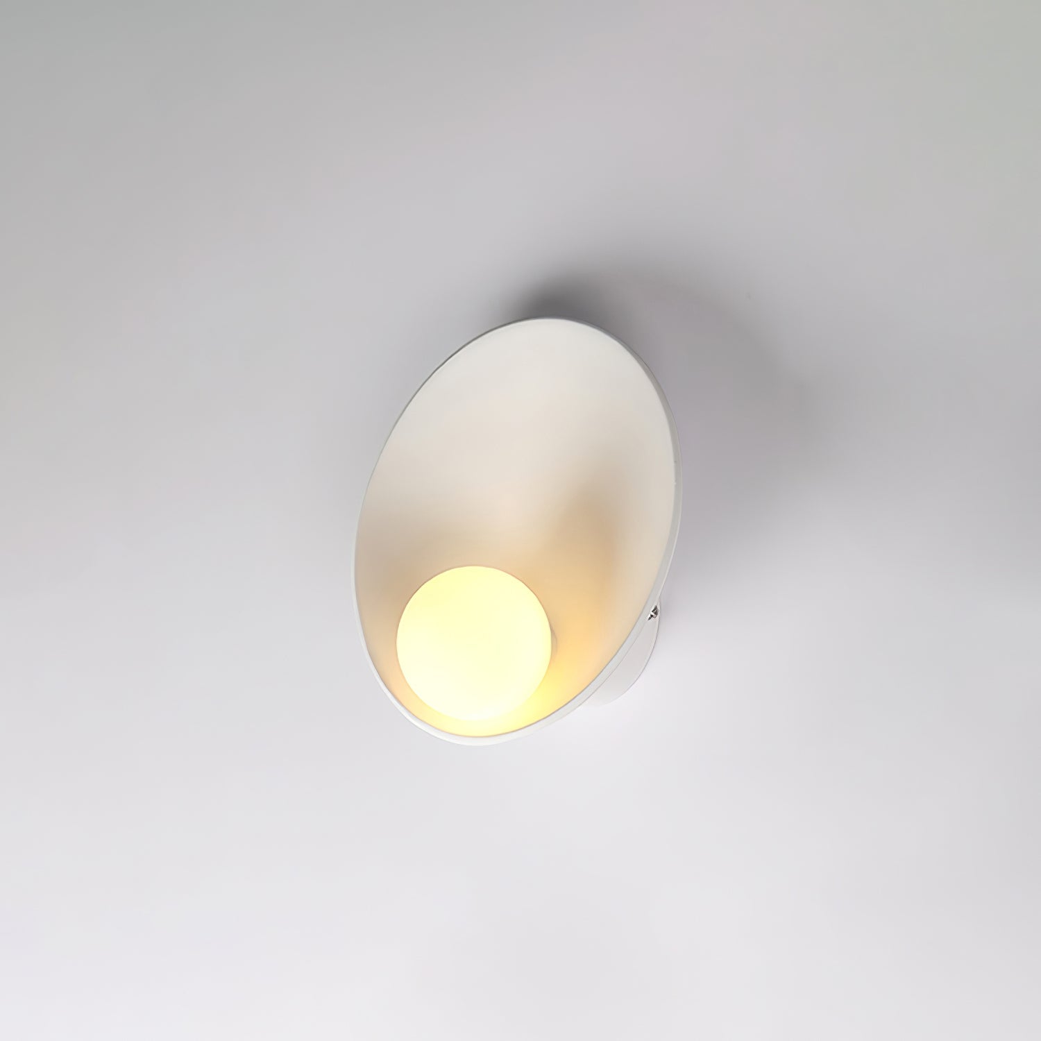 Seashell Resin Wall Lamp - Blowlighting