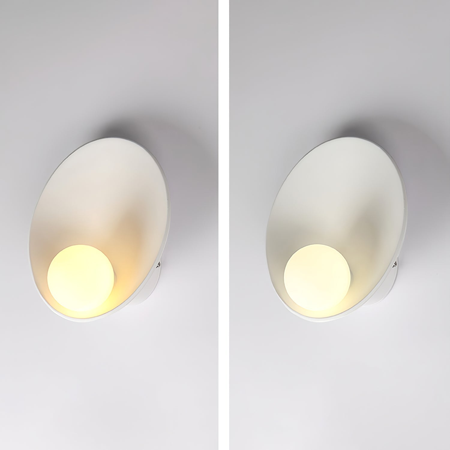 Seashell Resin Wall Lamp - Blowlighting