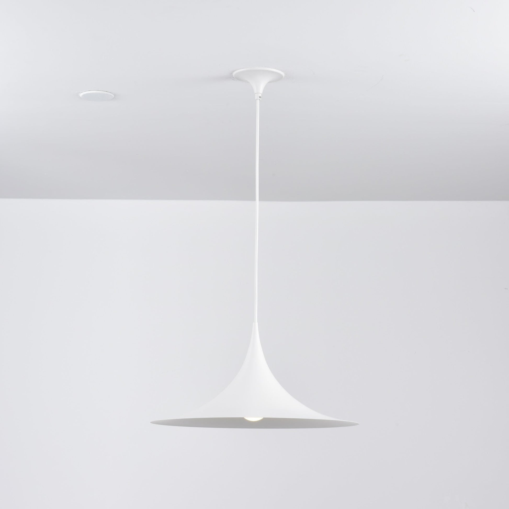 Semi Pendant Light - Blowlighting