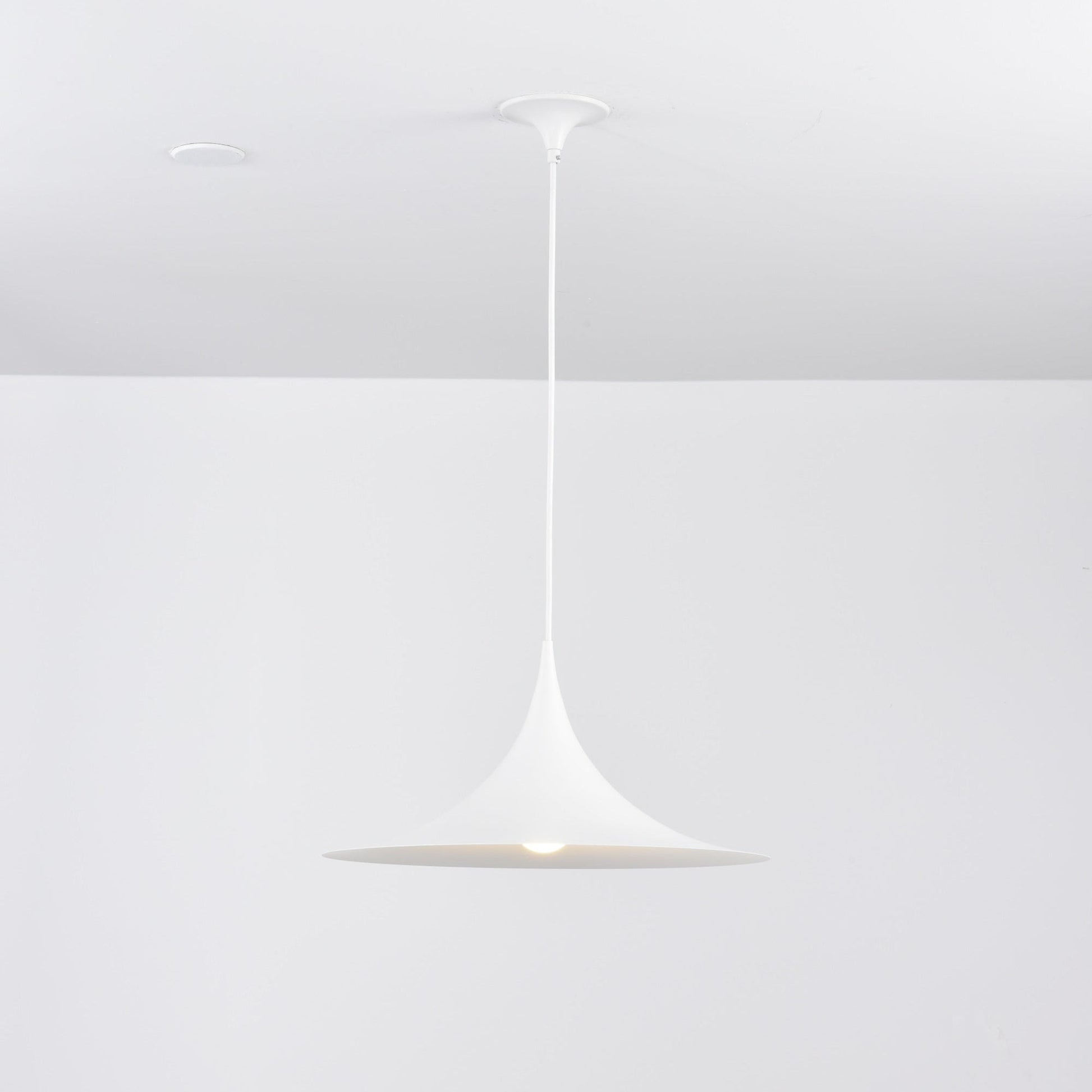 Semi Pendant Light - Blowlighting