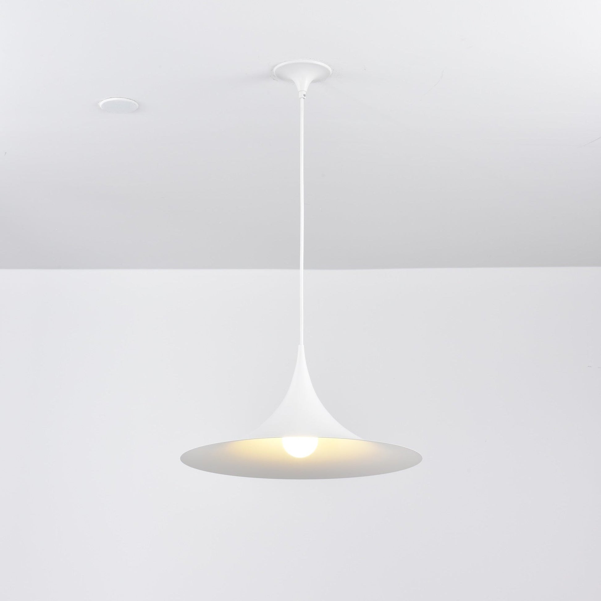 Semi Pendant Light - Blowlighting