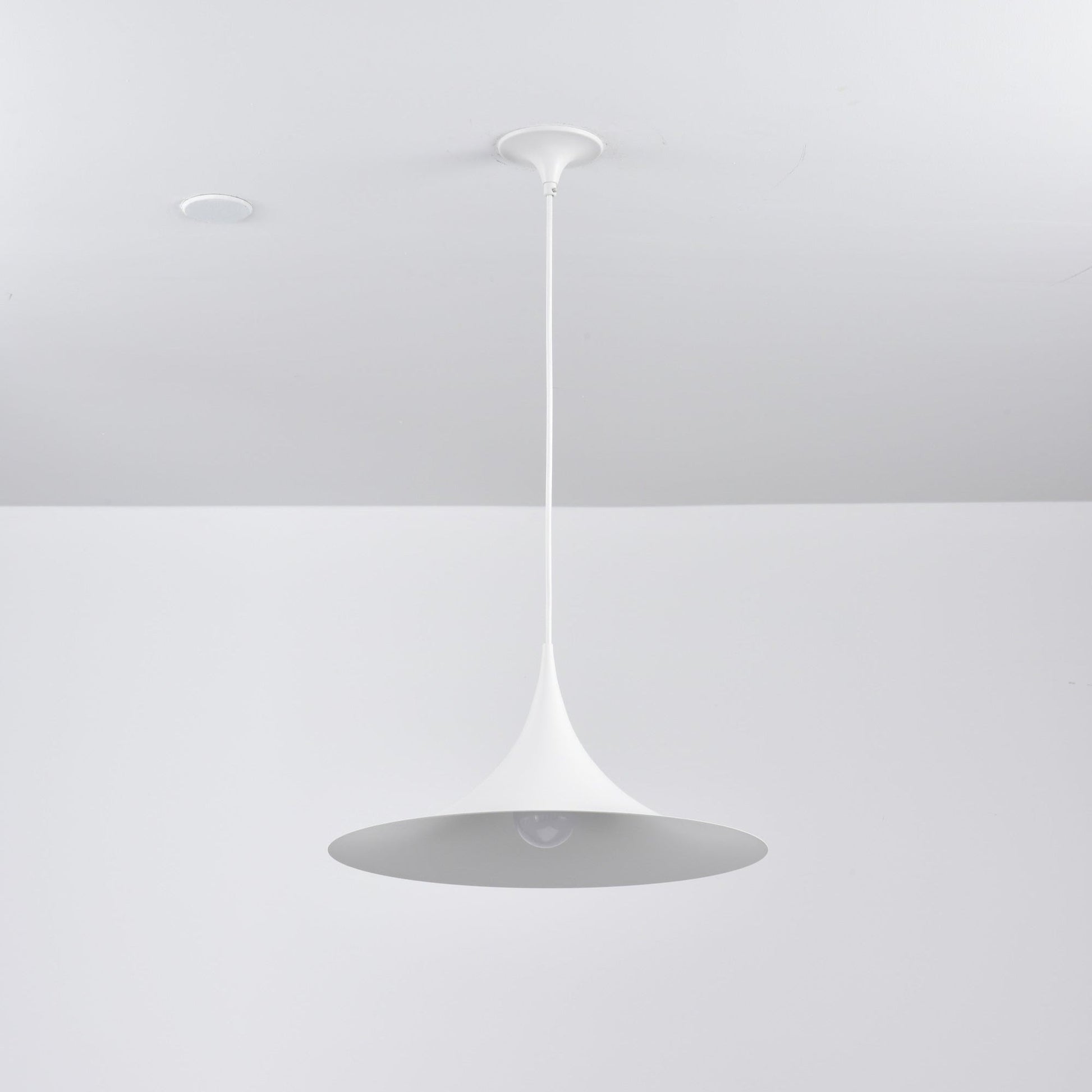 Semi Pendant Light - Blowlighting