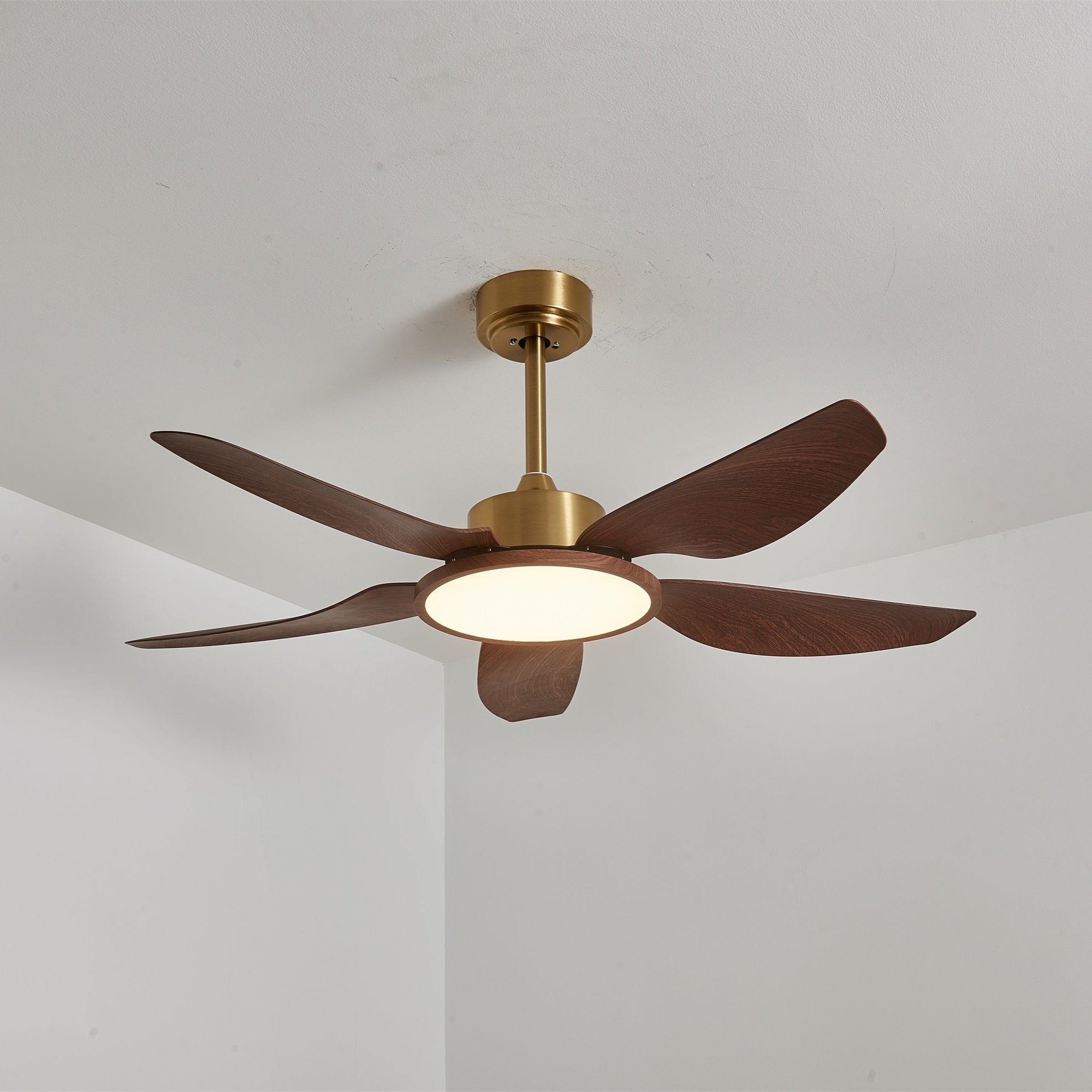 Aurelia Modern Wood Brass Ceiling Fan Light - Blowlighting