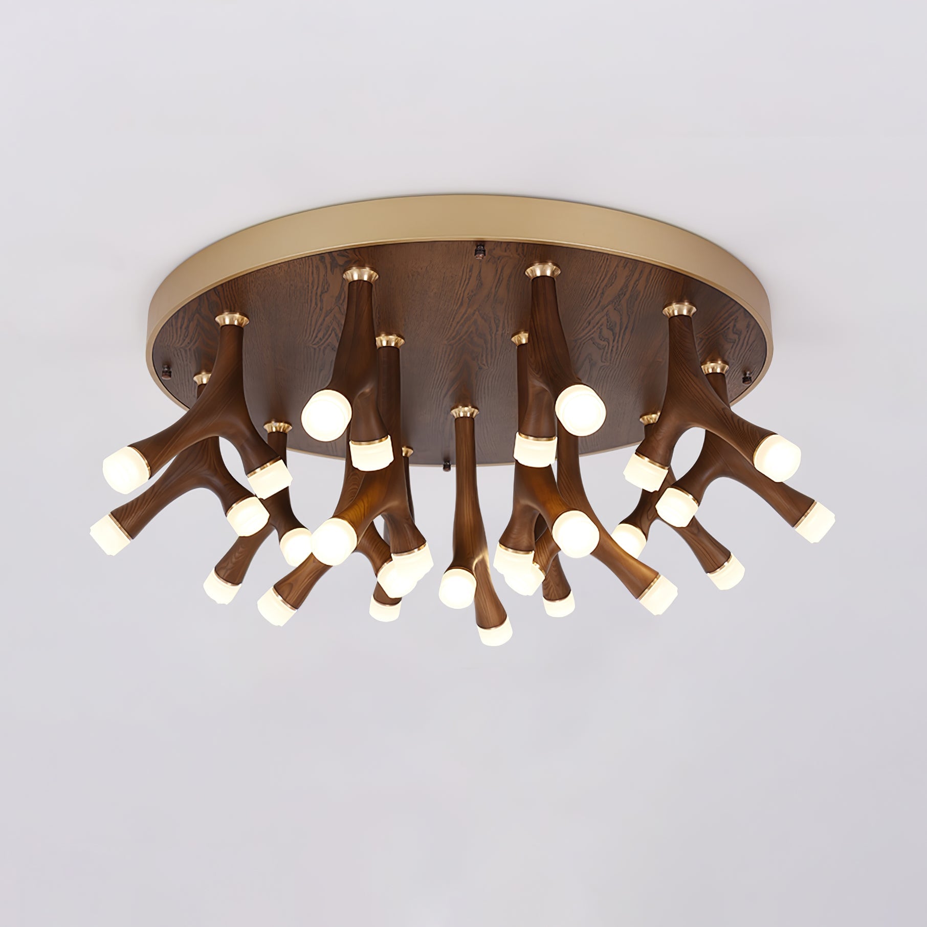 Vilorion Nature-Inspired Wood Ceiling Light - Blowlighting
