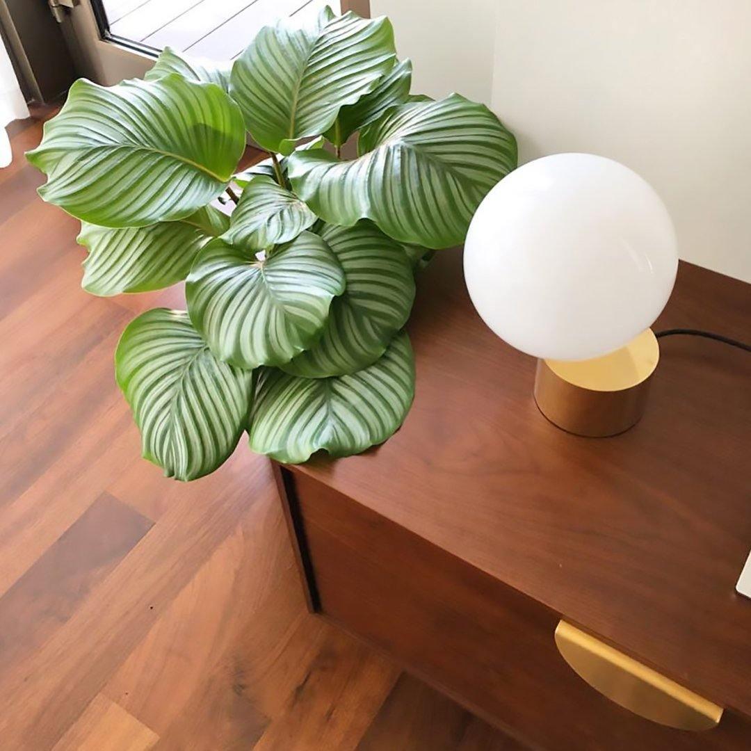 Tip of The Tongue Table Lamp - Blowlighting