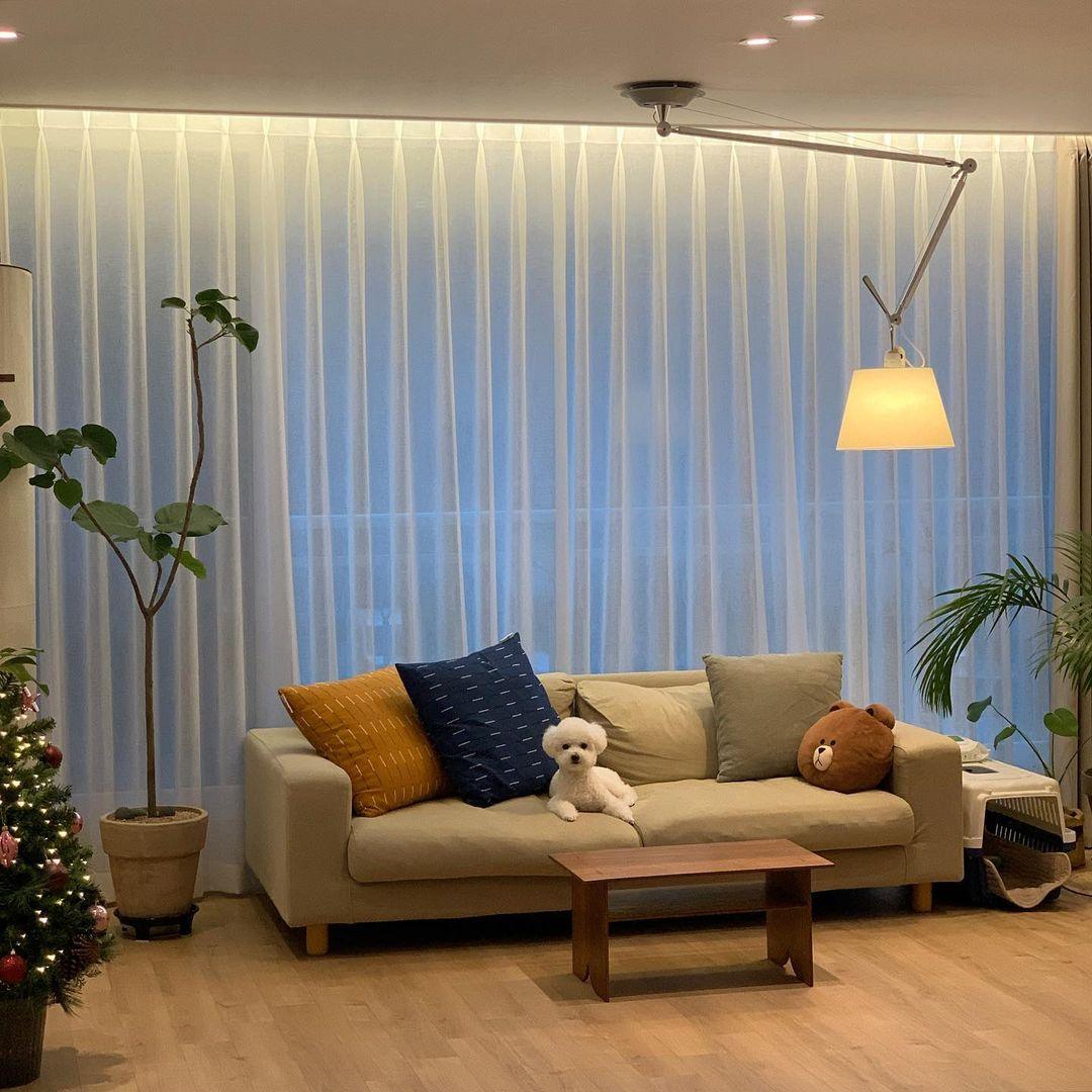 Rotatable Ceiling Pendant Light - Blowlighting