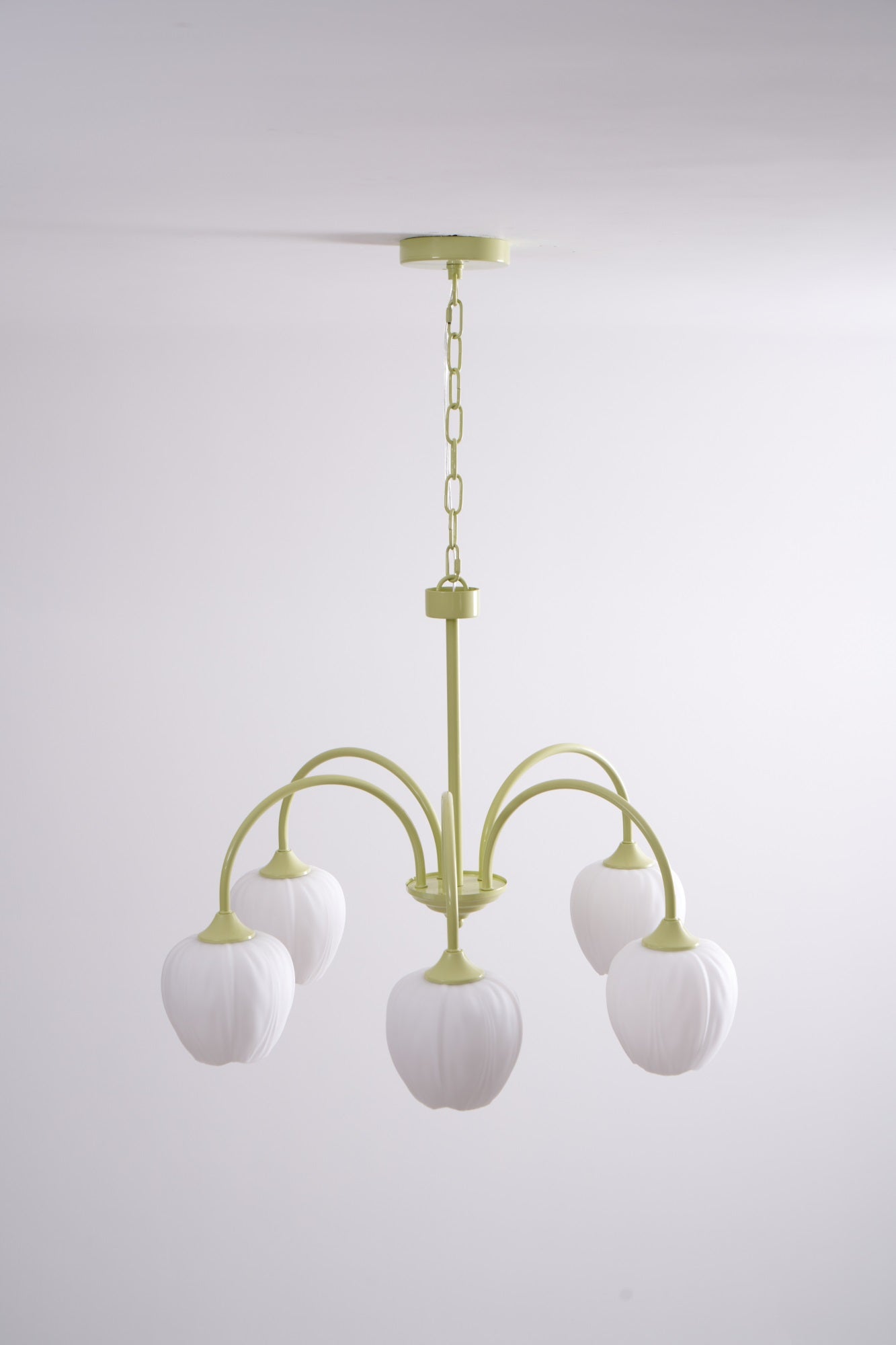 Tulip Matcha Chandelier - Blowlighting