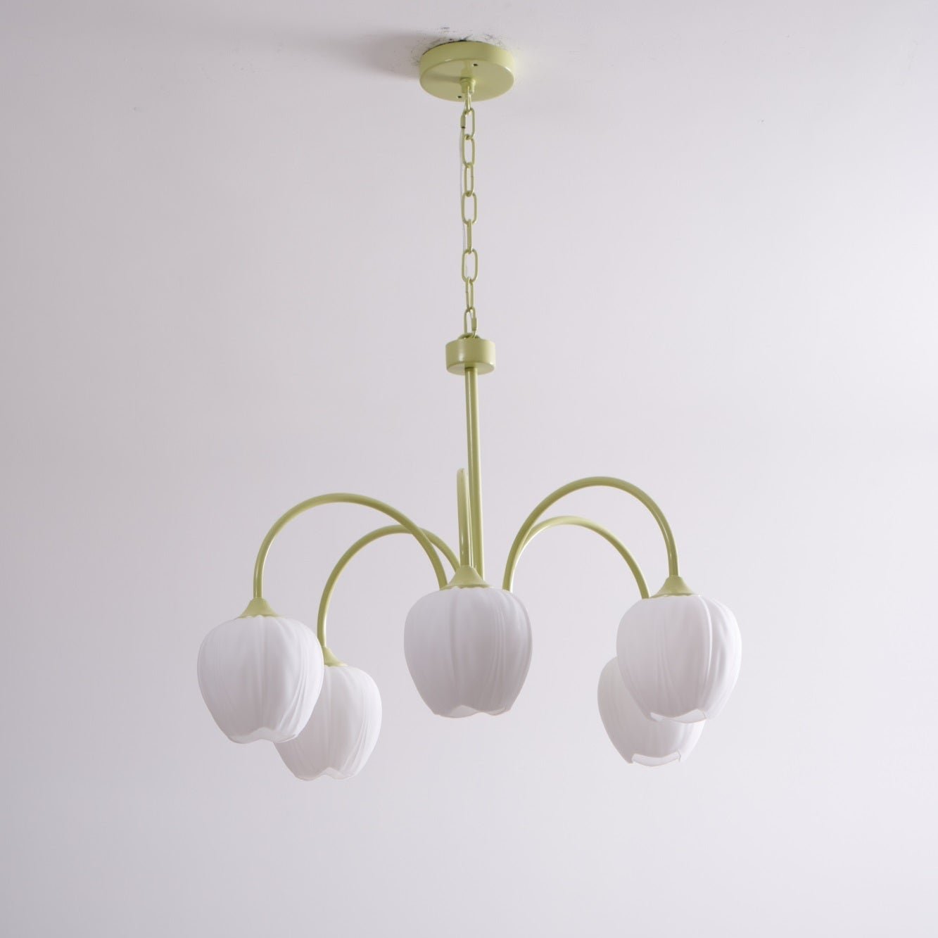 Tulip Matcha Chandelier - Blowlighting