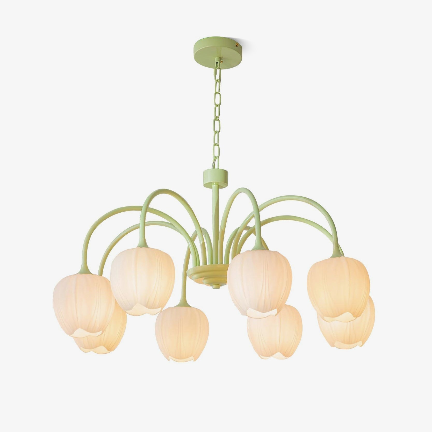Tulip Matcha Chandelier - Blowlighting