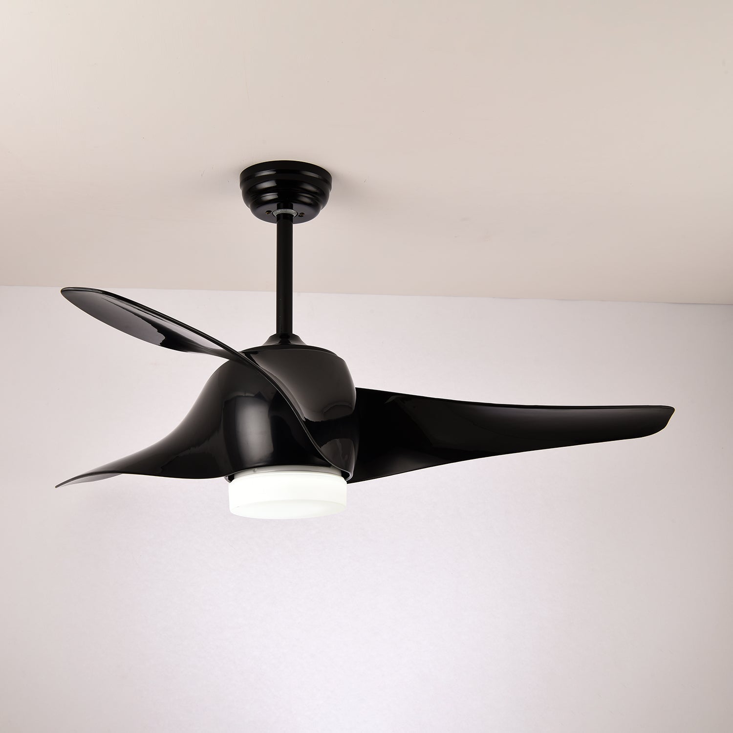 Eden Ceiling Fan Light - Blowlighting
