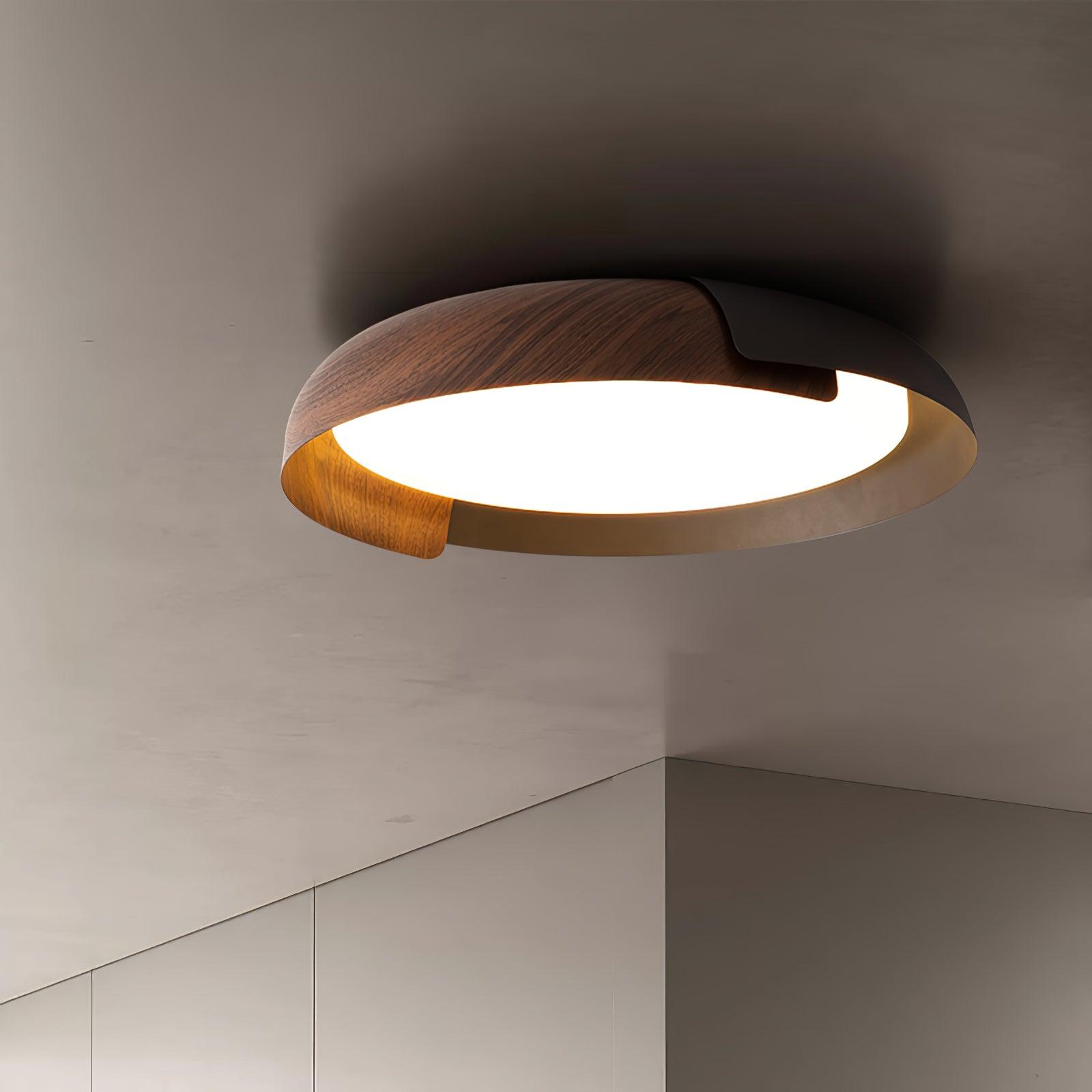 Vikaey Ceiling Light - Blowlighting