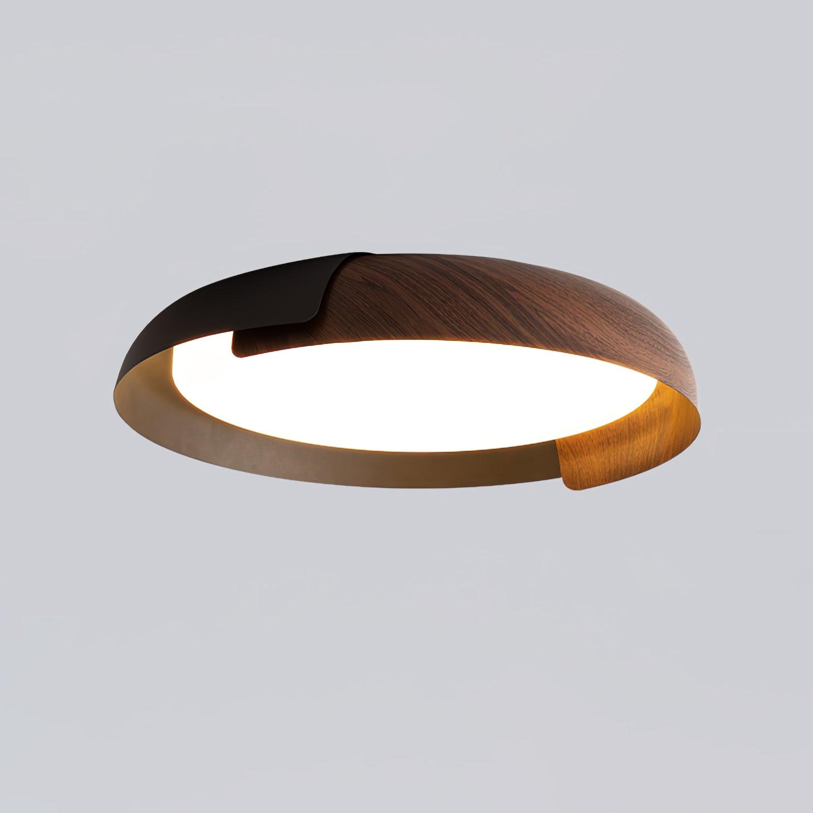 Vikaey Ceiling Light - Blowlighting