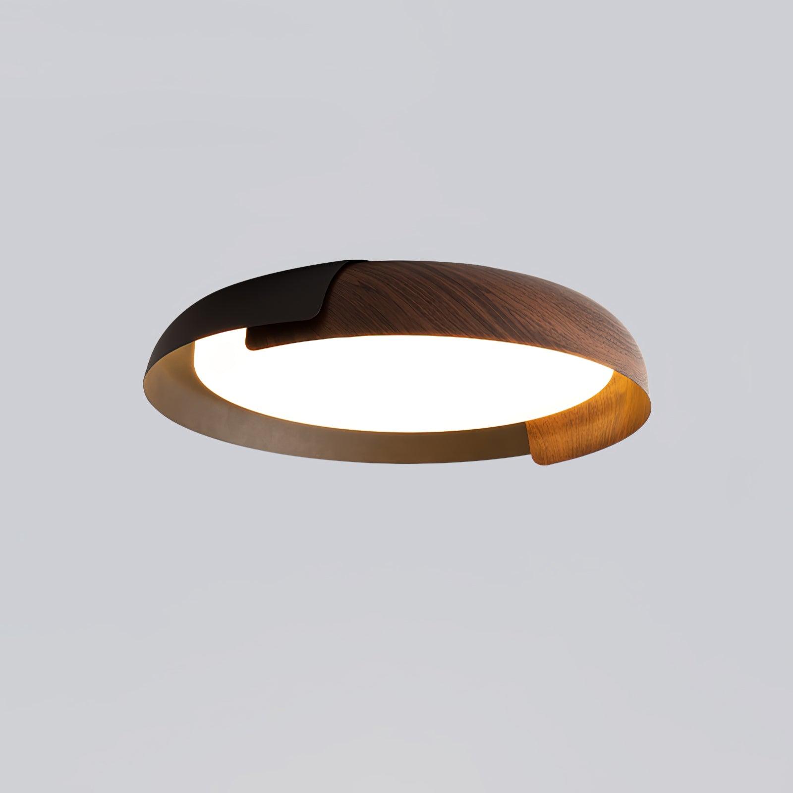 Vikaey Ceiling Light - Blowlighting