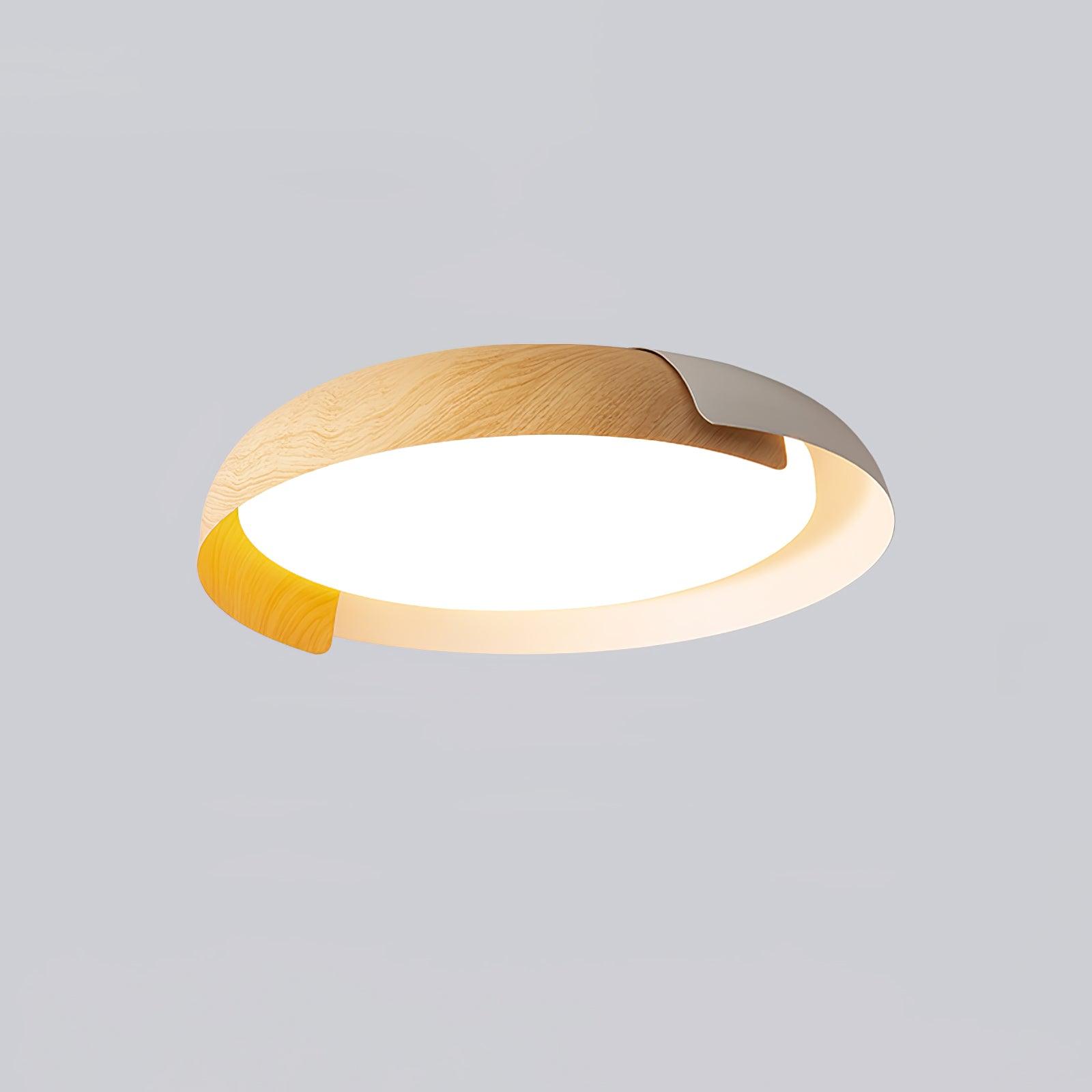 Vikaey Ceiling Light - Blowlighting