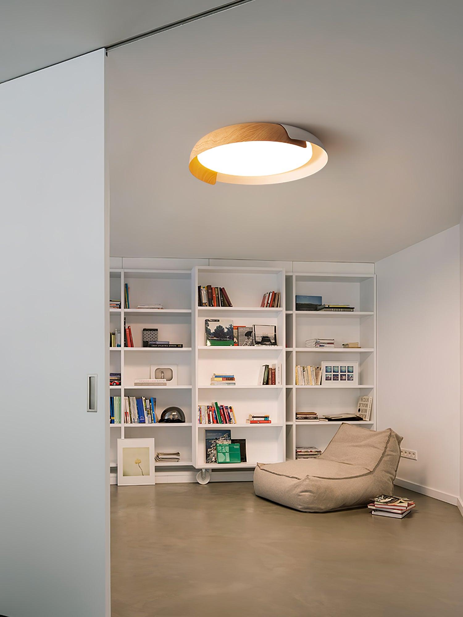 Vikaey Ceiling Light - Blowlighting