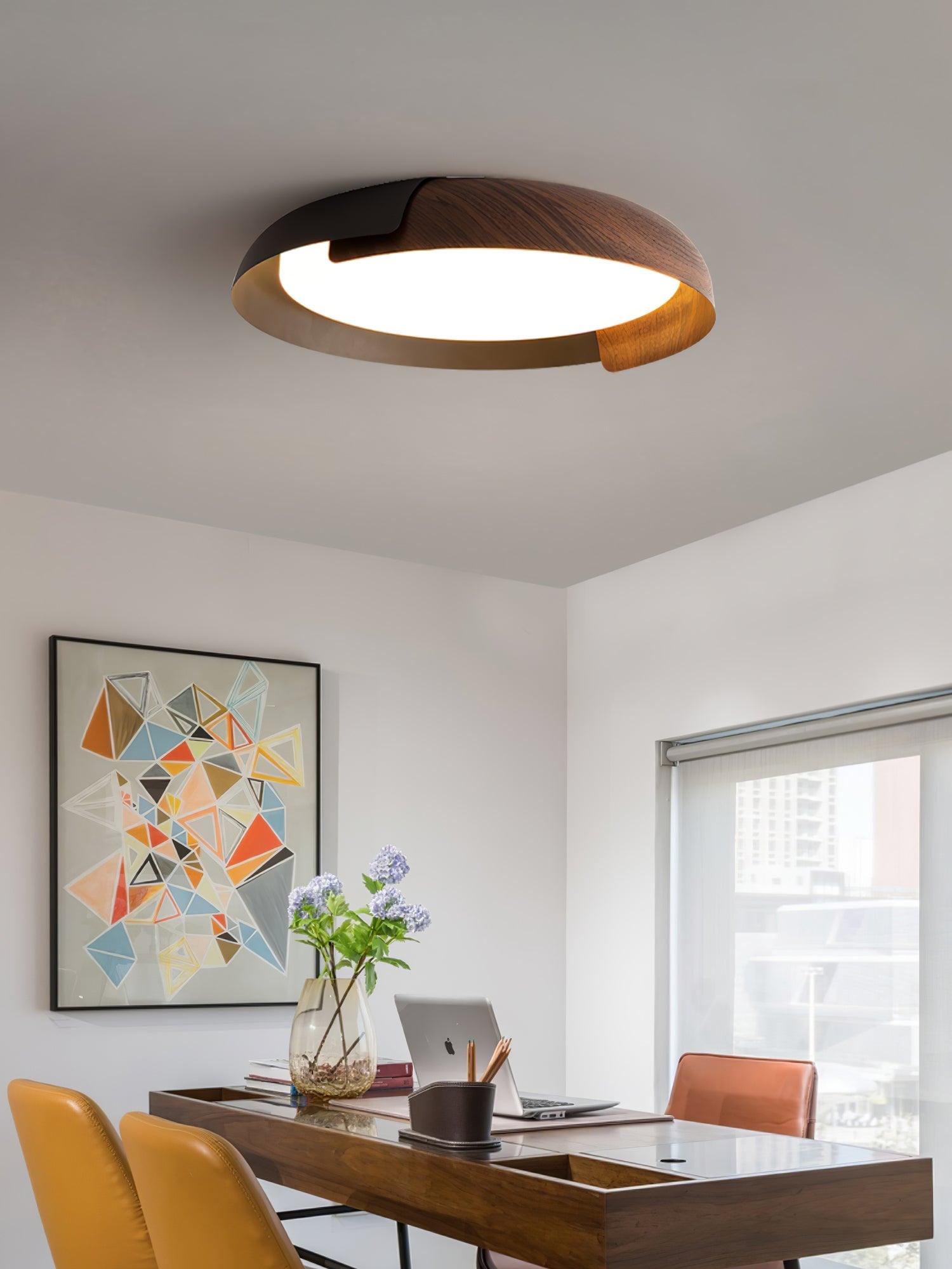 Vikaey Ceiling Light - Blowlighting