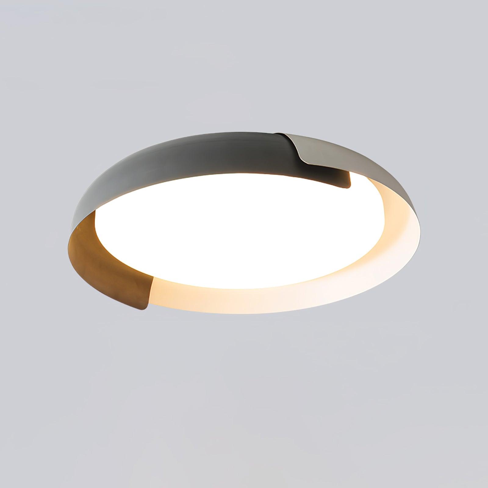 Vikaey Ceiling Light - Blowlighting