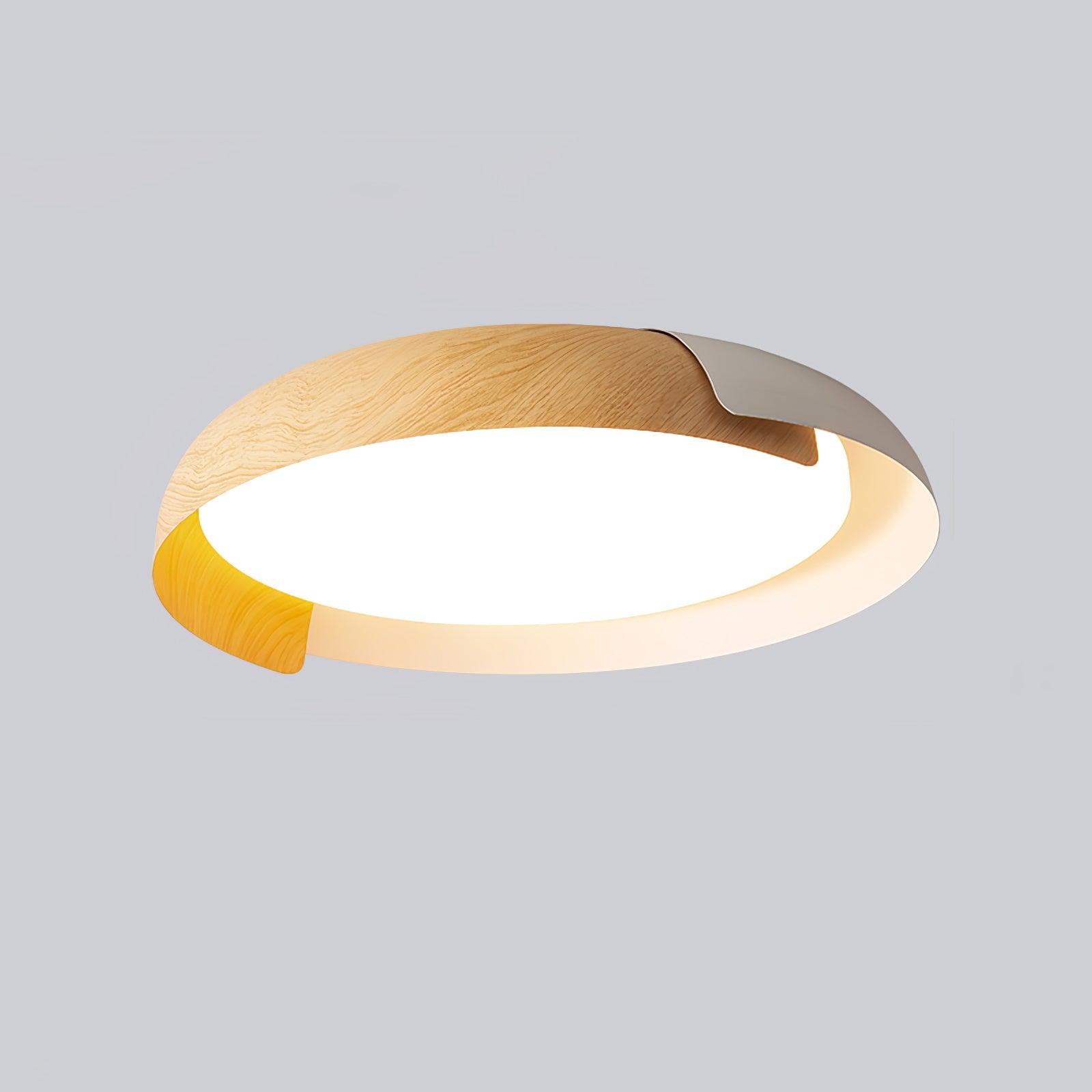 Vikaey Ceiling Light - Blowlighting