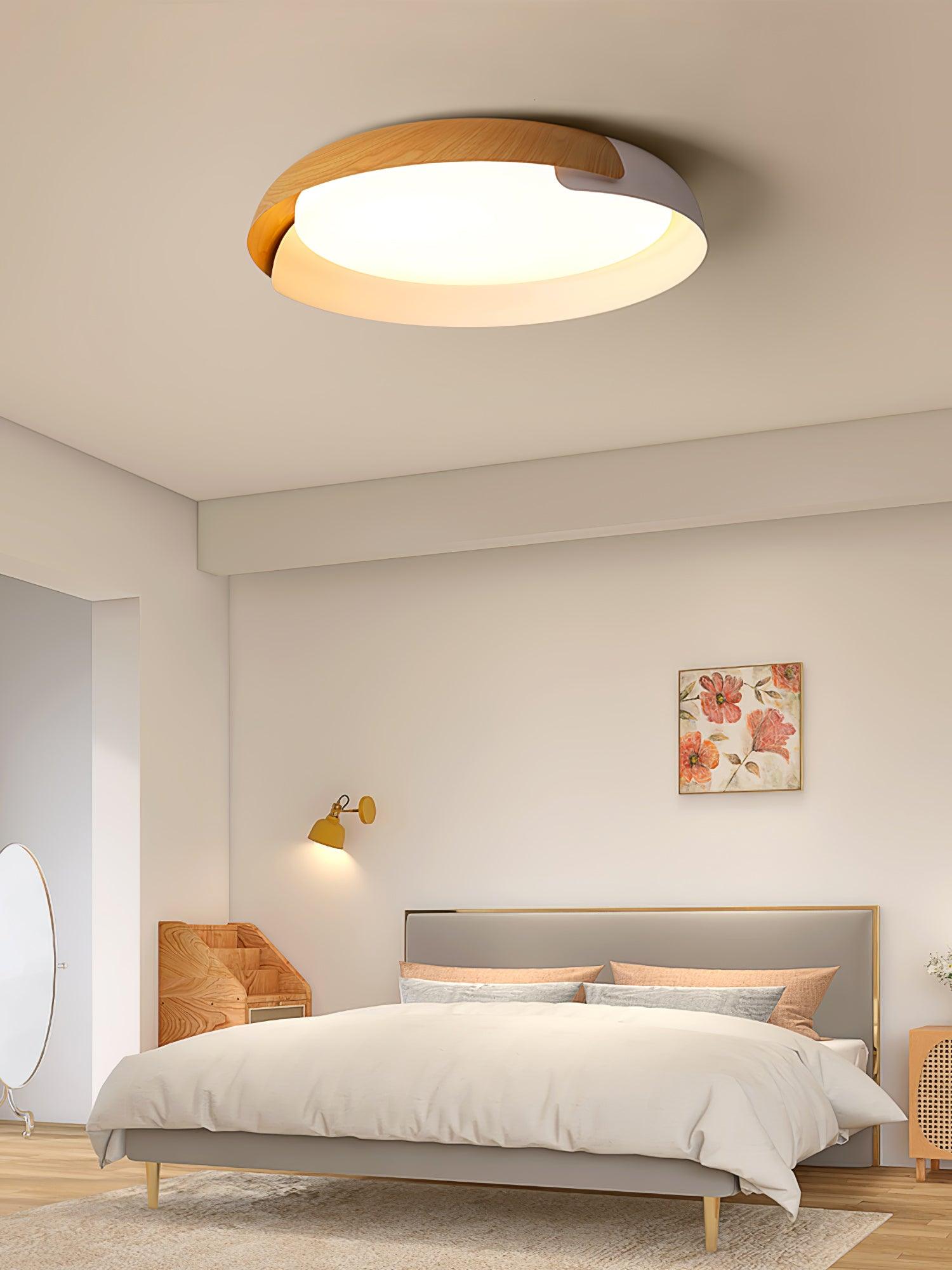 Vikaey Ceiling Light - Blowlighting
