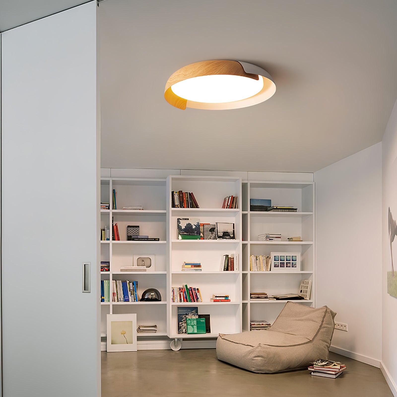 Vikaey Ceiling Light - Blowlighting