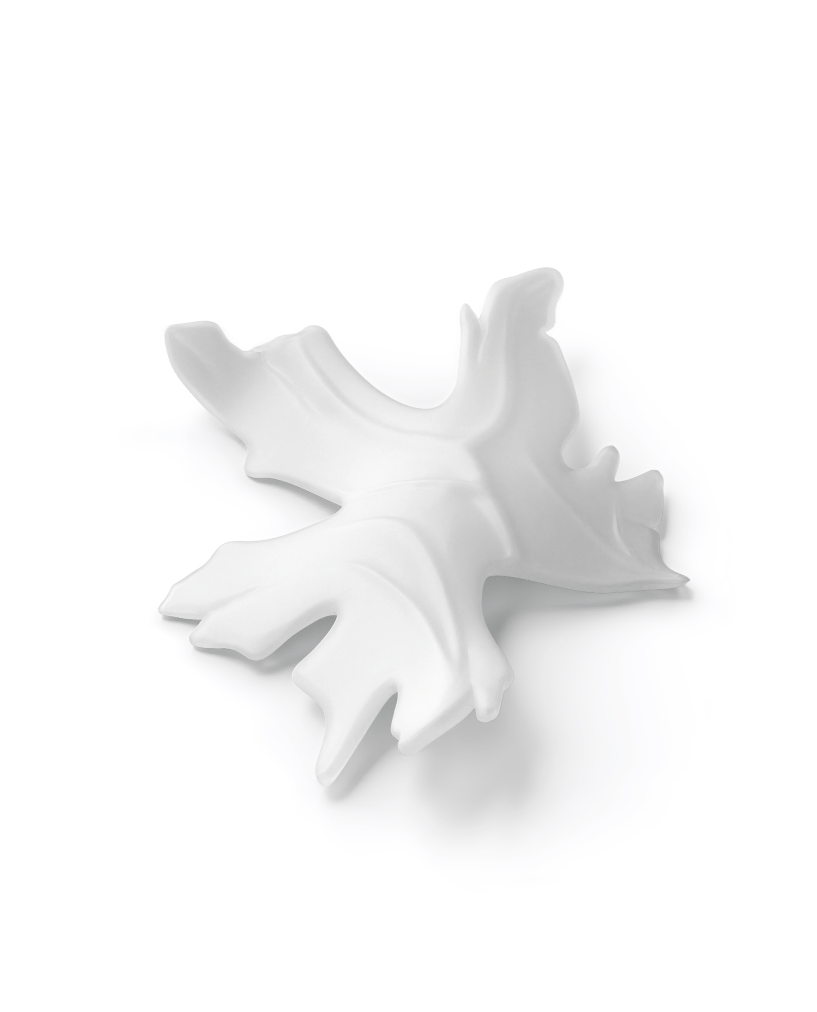 Arinan Floral Glass Chandelier - Blowlighting