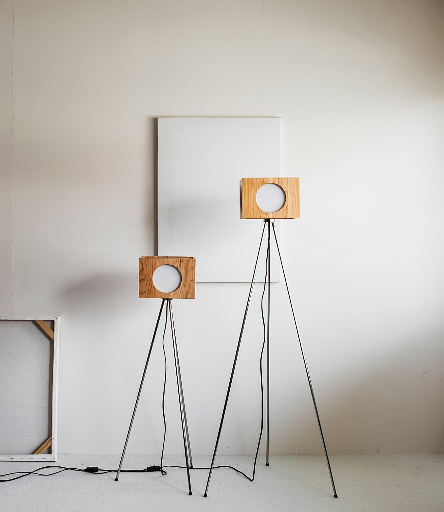 Vintage Tripod Camera Floor Lamp - Blowlighting