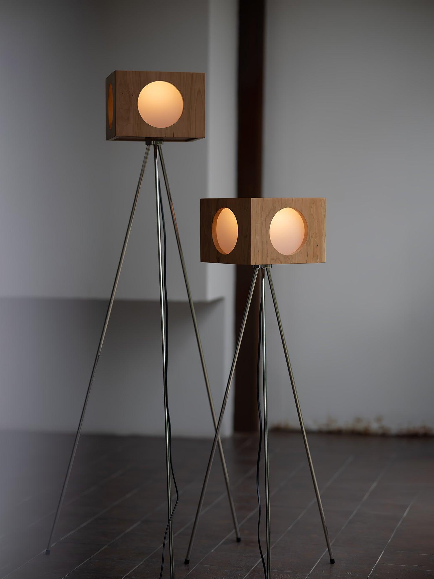 Vintage Tripod Camera Floor Lamp - Blowlighting