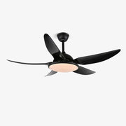 Aquila Modern Ceiling Fan Light - Blowlighting