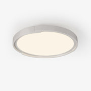 Edge Minimalist Ceiling Light - Blowlighting