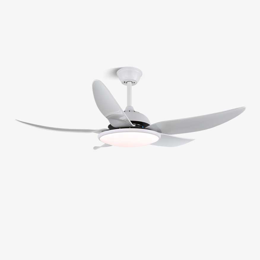 Aquila Modern Ceiling Fan Light - Blowlighting