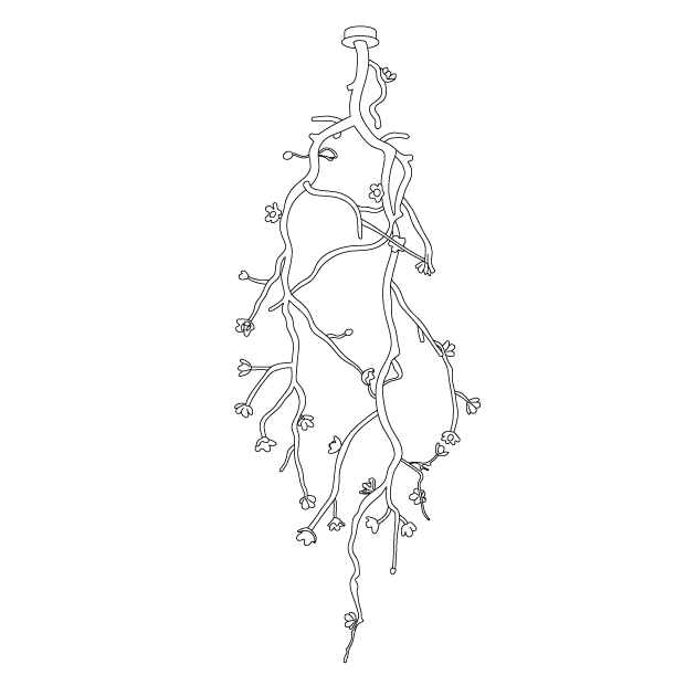 Large Long Branch Flower Chandelier - Blowlighting