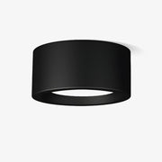 Ethan Surface Ceiling Light - Blowlighting